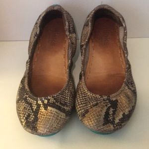 Teiks, copperhead print gently used